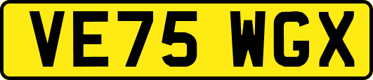 VE75WGX