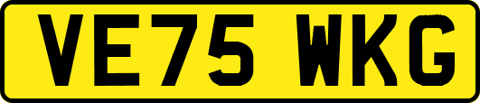 VE75WKG