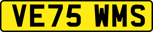 VE75WMS