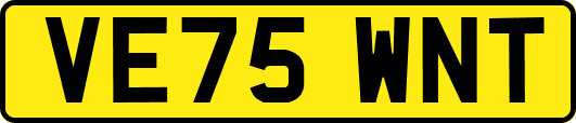 VE75WNT