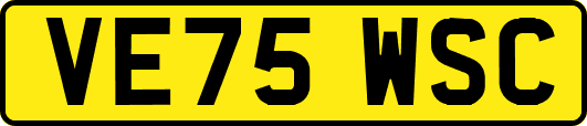 VE75WSC