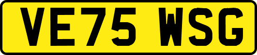 VE75WSG