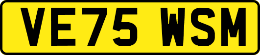 VE75WSM