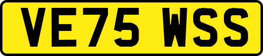 VE75WSS
