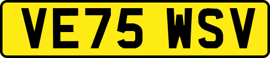 VE75WSV