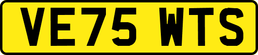 VE75WTS