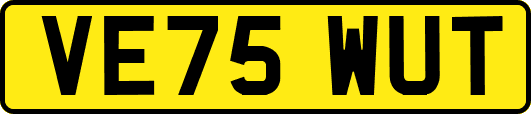 VE75WUT