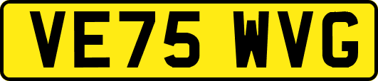 VE75WVG