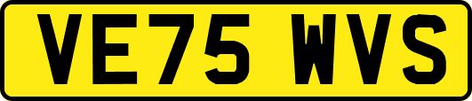 VE75WVS
