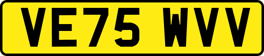VE75WVV