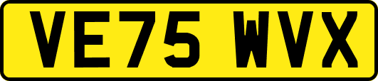 VE75WVX