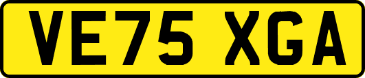 VE75XGA