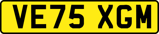 VE75XGM