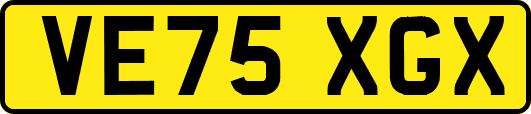 VE75XGX