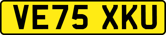 VE75XKU
