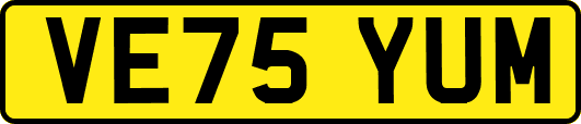 VE75YUM