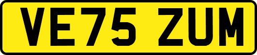 VE75ZUM