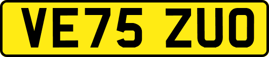 VE75ZUO