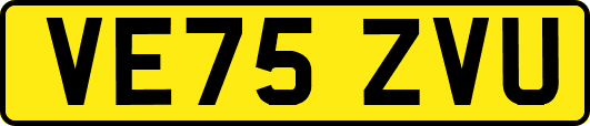 VE75ZVU