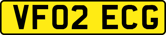 VF02ECG