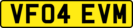 VF04EVM