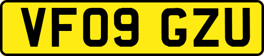VF09GZU