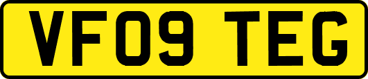 VF09TEG