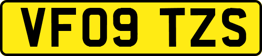 VF09TZS