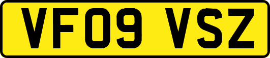 VF09VSZ