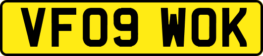 VF09WOK