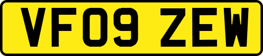 VF09ZEW
