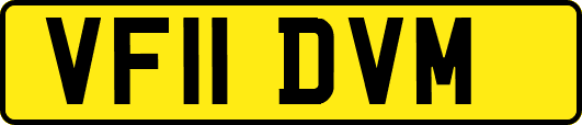 VF11DVM