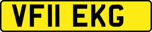 VF11EKG