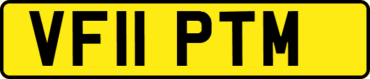 VF11PTM