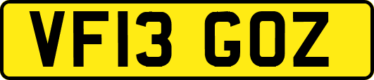 VF13GOZ