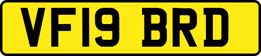 VF19BRD