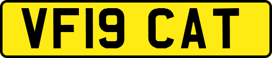VF19CAT