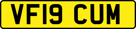VF19CUM
