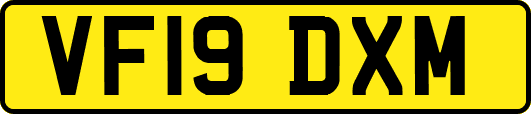 VF19DXM