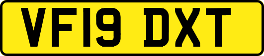 VF19DXT
