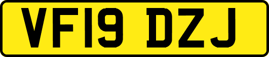 VF19DZJ
