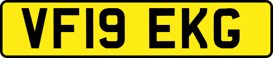 VF19EKG
