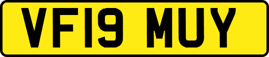 VF19MUY