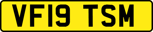 VF19TSM