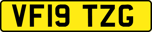 VF19TZG