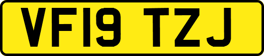 VF19TZJ