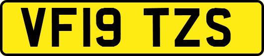 VF19TZS