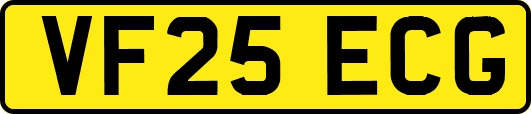 VF25ECG