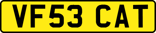 VF53CAT