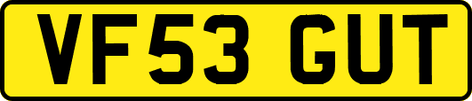 VF53GUT